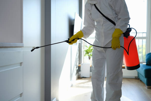 Best Mold Damage Repair  in Sioux City, IA
