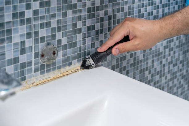 Best Mold Testing  in Sioux City, IA