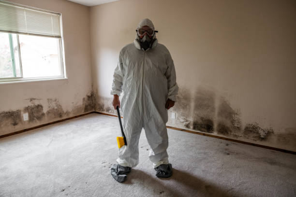 Professional Mold Removal in Sioux City, IA